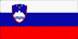 [Country Flag of Slovenia]